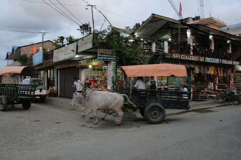 India & Nepal 2011 - 0529